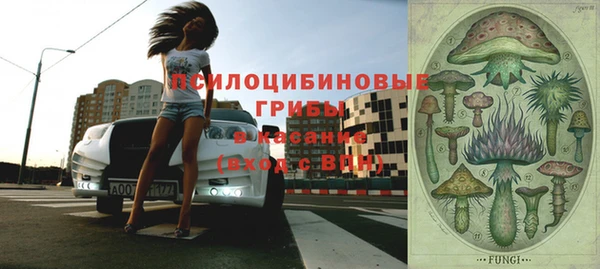 трава Бронницы