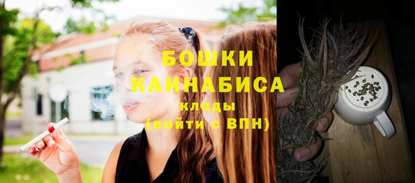 трава Бронницы