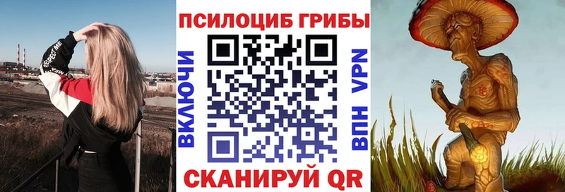 Псилоцибиновые грибы Psilocybine cubensis  Кострома 