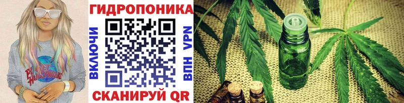 Конопля семена  дарнет шоп  Кострома 